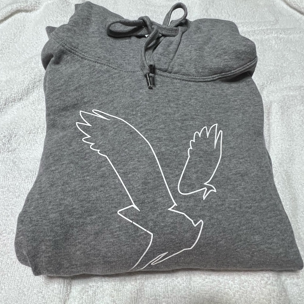 American Eagle Outfitters Heather Gray Hoodie